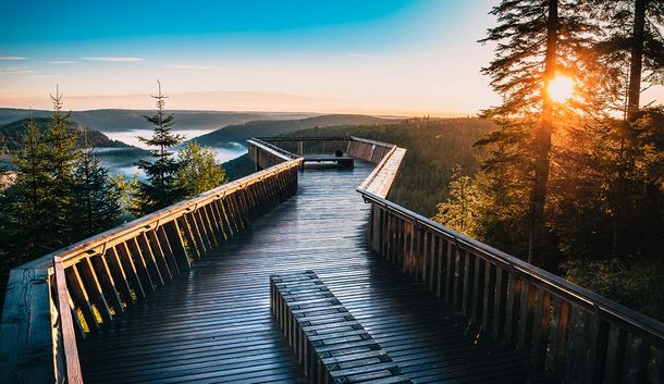 Zum Kuckuck: Urige Wellnesswoche im Schwarzwald