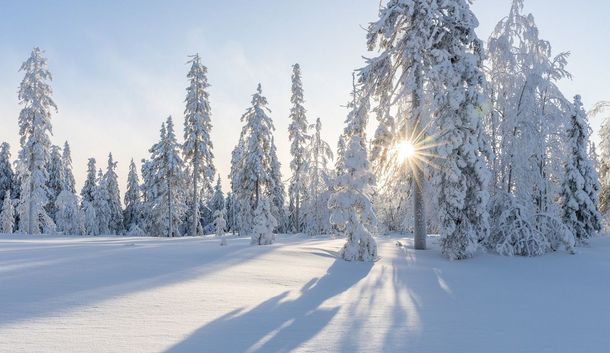 Zurück zur Natur! Wellnessurlaub im Thüringer Wald