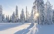 Zurück zur Natur! Wellnessurlaub im Thüringer Wald
