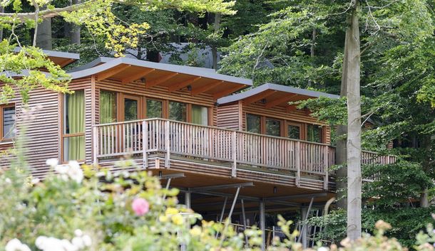 Wildlife-Wellness im Baumhaus-Hotel im Harz