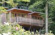 Wildlife-Wellness im Baumhaus-Hotel im Harz