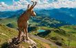 WANDERGLÜCK in Kitzbühel