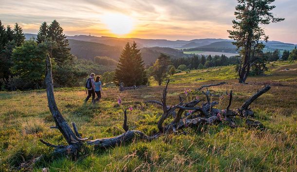 Wellness- & Wanderwoche im wunderbaren Willingen