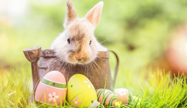 Ostern im Monte Carlo der Alpen