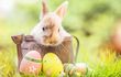 Ostern im Monte Carlo der Alpen