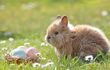 Sonnige Ostertage an der Saale
