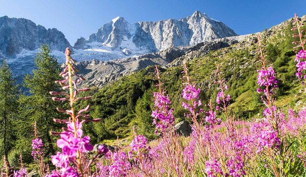 Genuss und Entspannung am Nationalpark "Stilfser Joch"