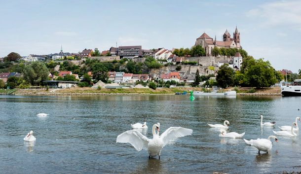Hoch über dem Rhein: Wellness in Breisach