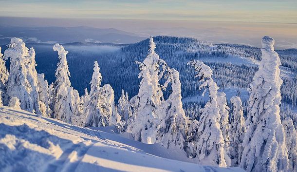 Wellness im Bayerischen Urwald