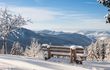 Zum Kuckuck: Urige Wellnesswoche im Schwarzwald