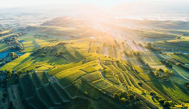 Inmitten der Reben – Wellness & Genuss am Kaiserstuhl