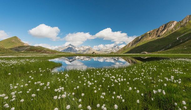 Nachhaltig & klimaneutral – Ihr Wellnessurlaub in Südtirol