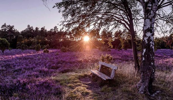 Romantische Wohlfühltage in der Lüneburger Heide