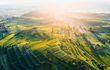 Inmitten der Reben – Wellness & Genuss am Kaiserstuhl