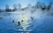 Vier Sterne & vom Bett ins Thermenparadies