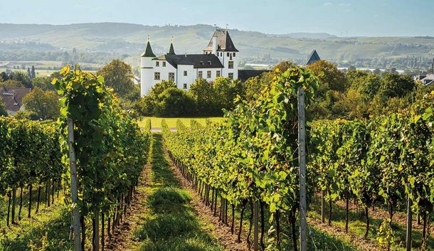 Savoir-vivre an der traumhaften Mosel mit Weinbad