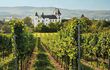 Savoir-vivre an der traumhaften Mosel mit Weinbad
