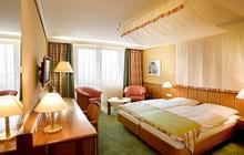 DZ Standard - Roter Schliff
